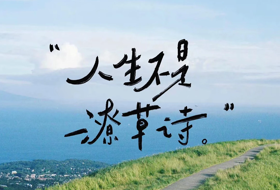 密码保护：WordPress CeoEdu-Pro主题